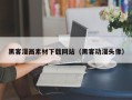宜春黑客漫画素材下载网站（黑客动漫头像）