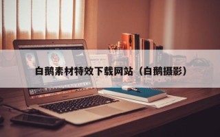 宜春白鹅素材特效下载网站（白鹅摄影）